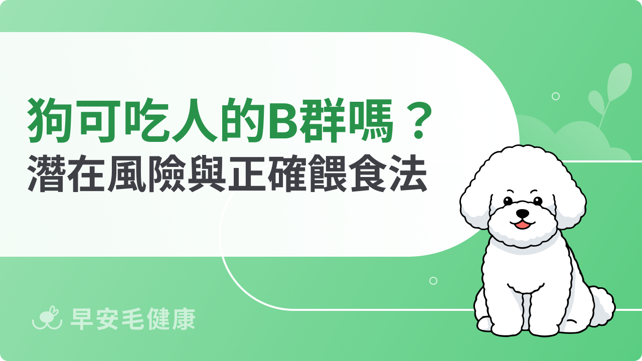 狗狗可以吃人的 B 群嗎?解析選擇毛孩專用保健品的重要性
