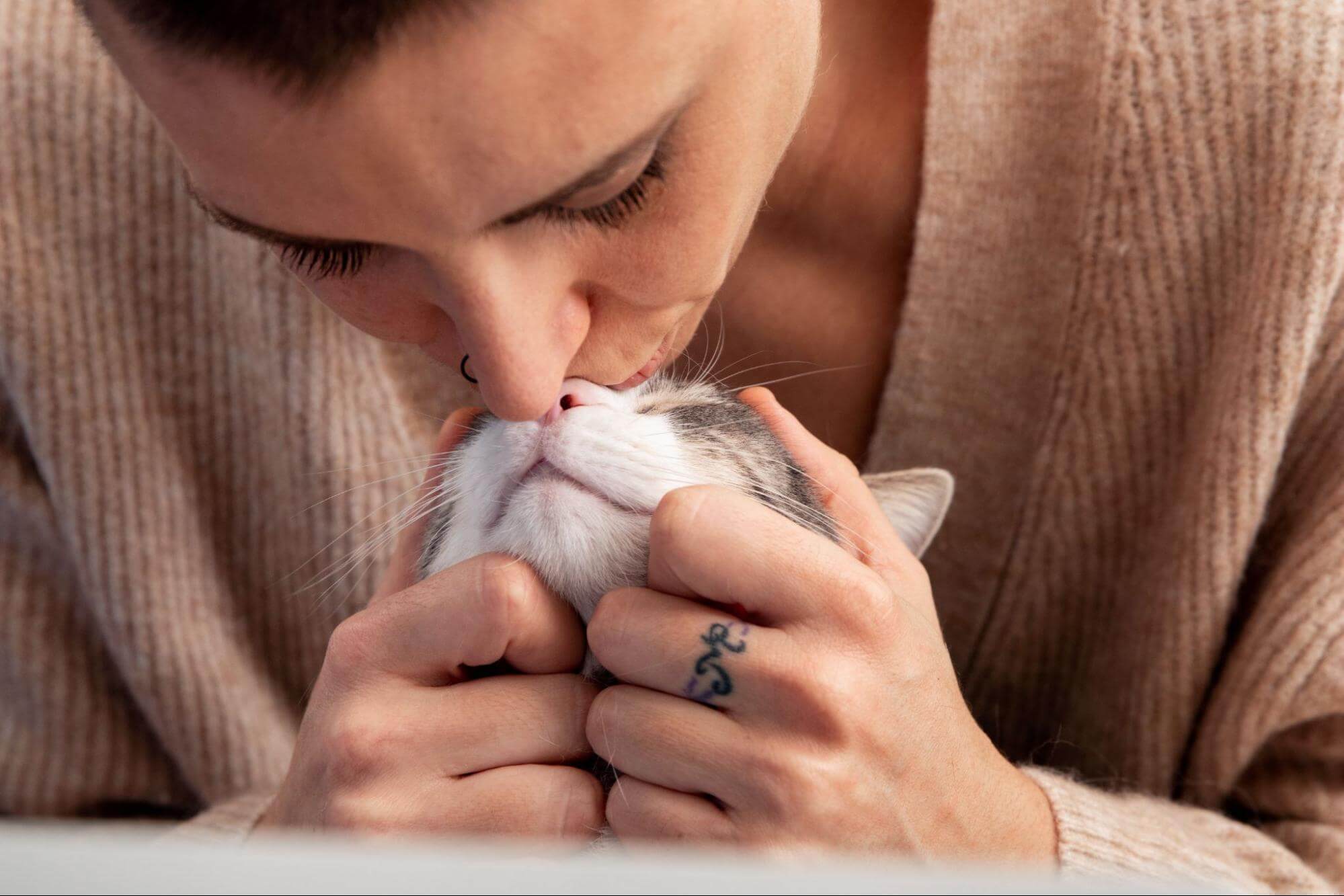 267. AI - cat-biting-hair-meaning-1
