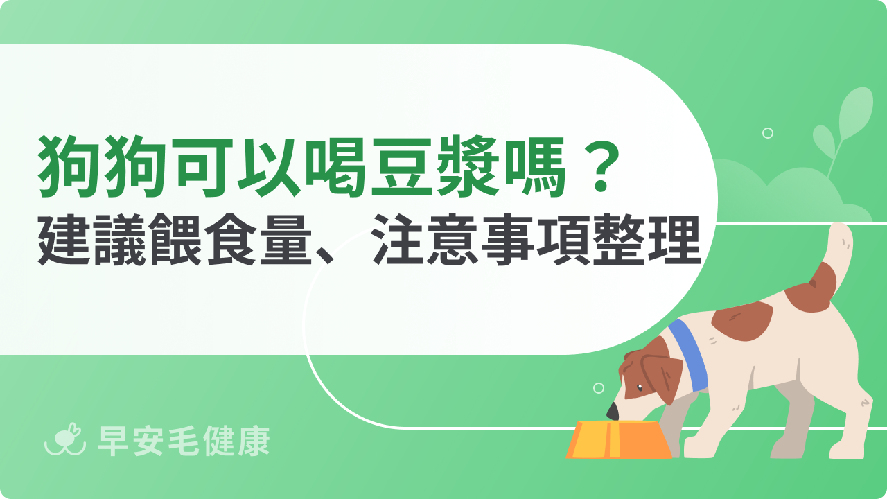 狗狗可以喝豆漿嗎?喝多恐傷身,掌握正確餵食量才健康!