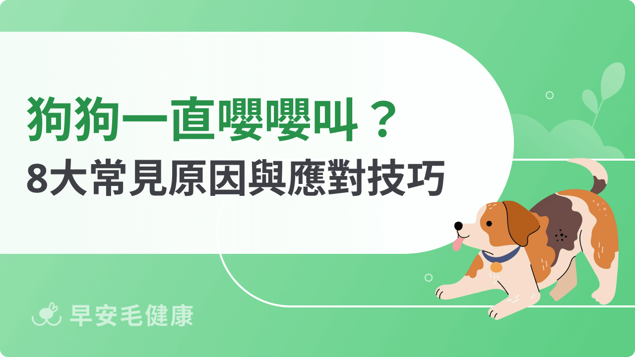 狗狗一直嚶嚶叫怎麼辦?狗狗哭不停8大原因與應對技巧