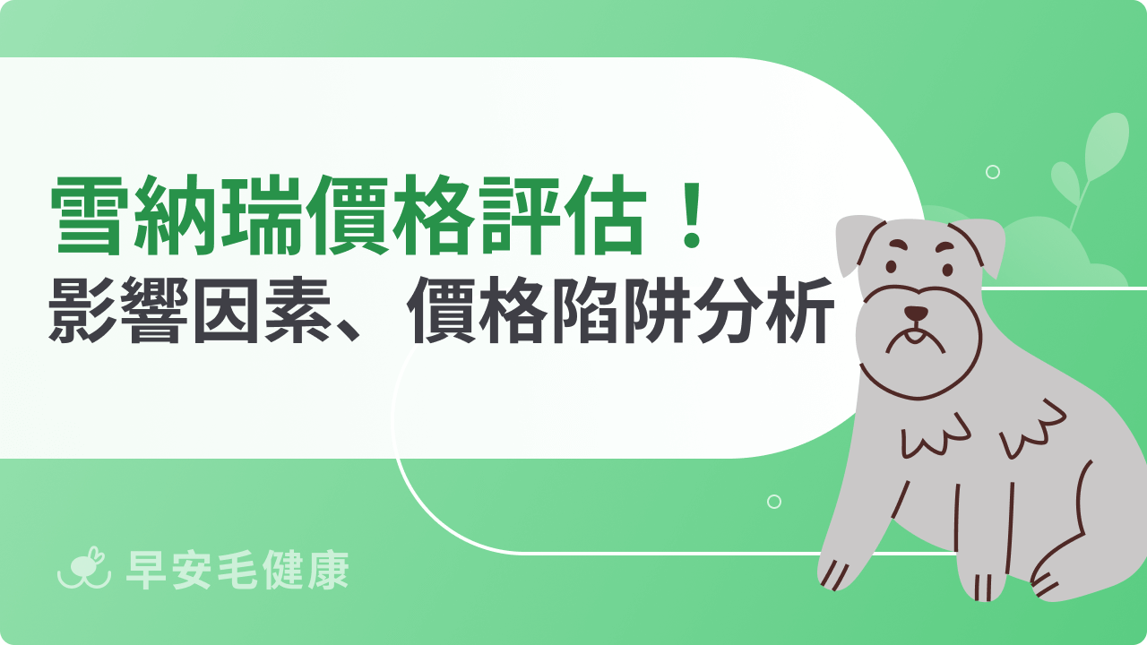 雪納瑞價格評估指南:了解影響因素、價格陷阱,教你聰明挑毛孩