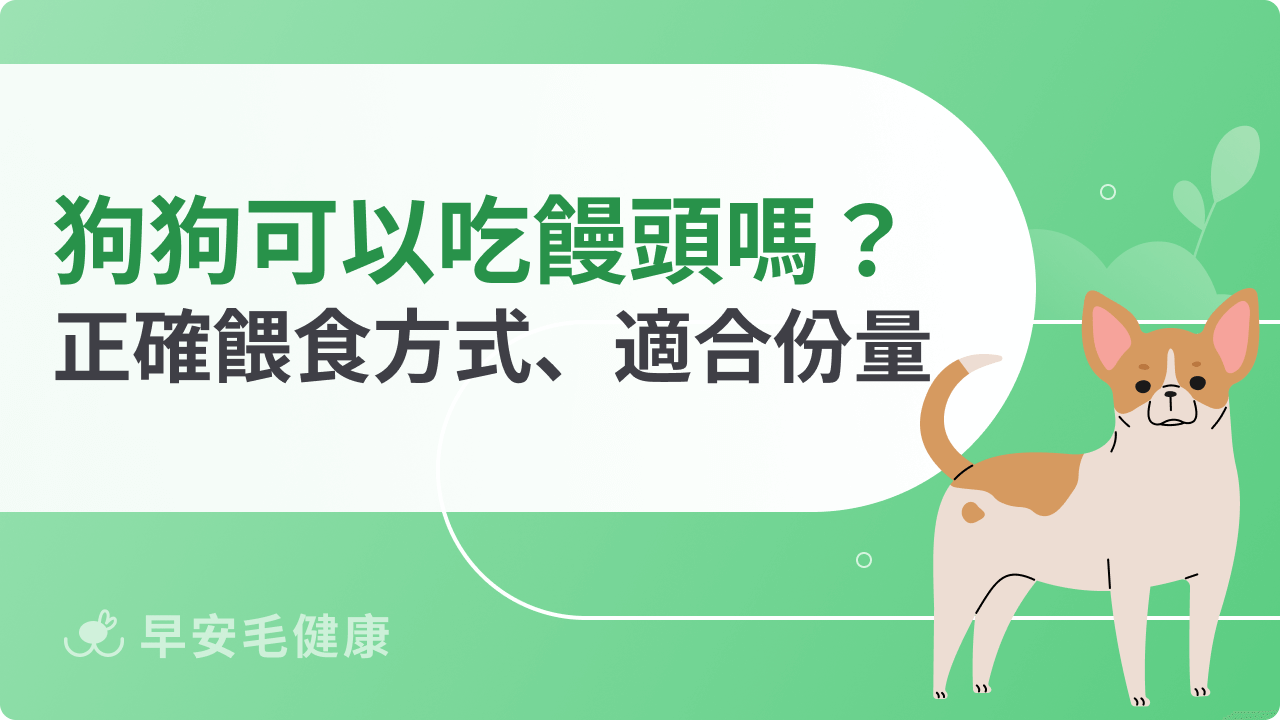 狗狗可以吃饅頭嗎?完整解析能否食用與飲食注意事項