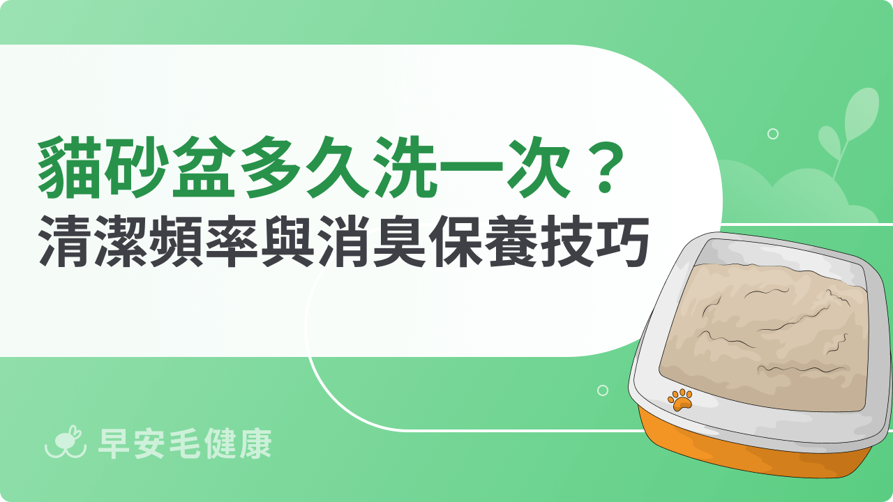 貓砂盆多久洗一次?正確清潔頻率與消臭保養技巧全解析