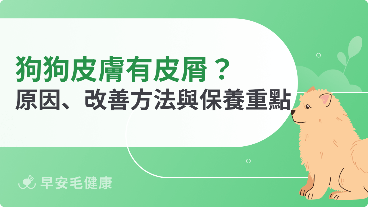 狗狗皮膚有皮屑怎麼辦?常見原因、改善方法與保養重點
