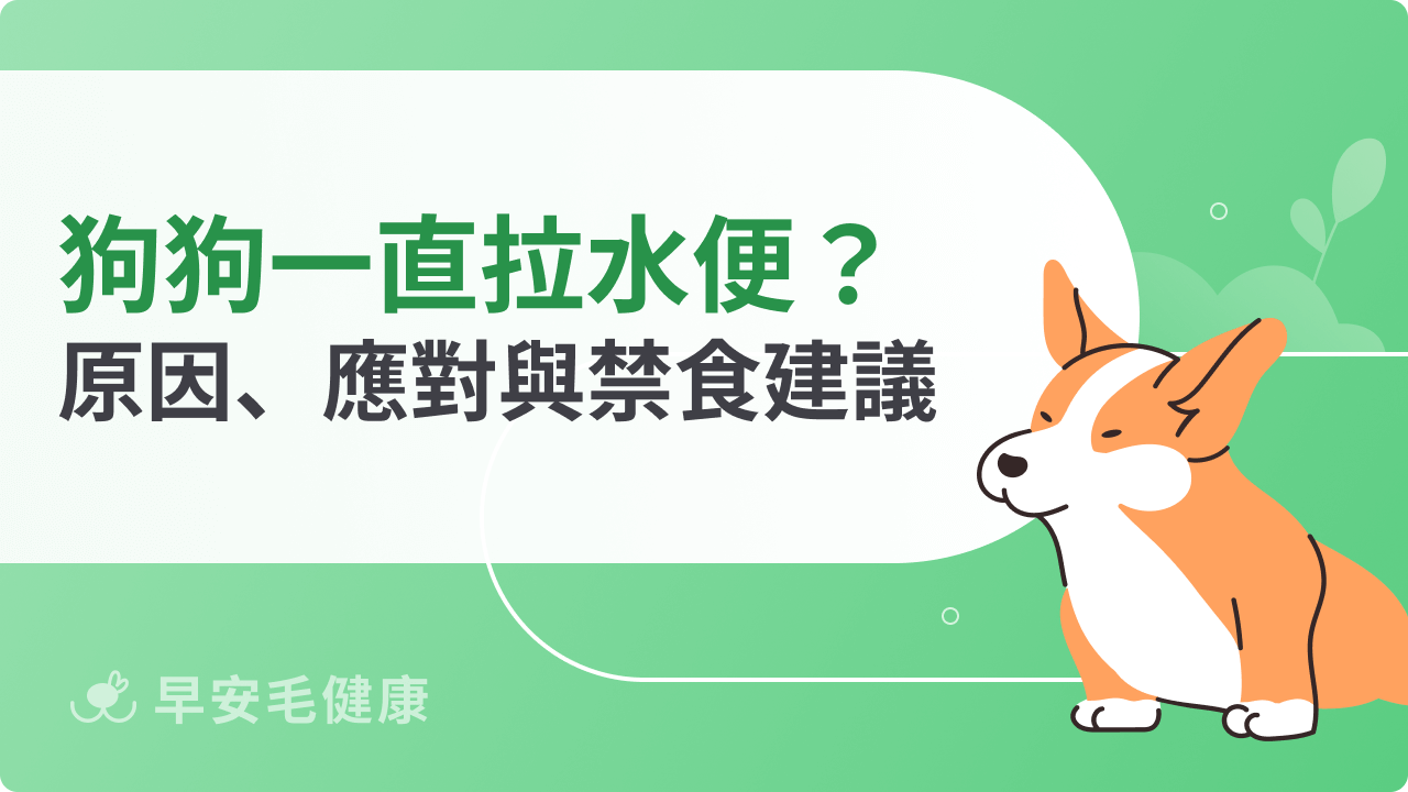 狗狗一直拉水便怎麼辦?常見原因、處理方法與禁食建議