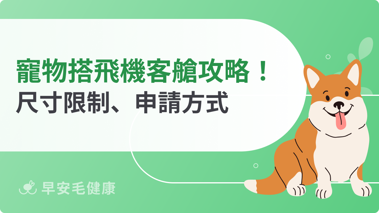 寵物搭飛機坐客艙可以嗎?尺寸限制、申請方式一次看