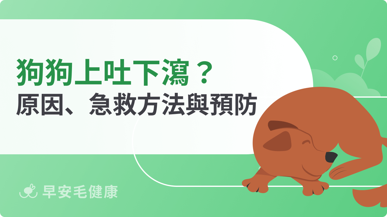 狗狗上吐下瀉怎麼辦?常見原因、急救處理與日常預防指南