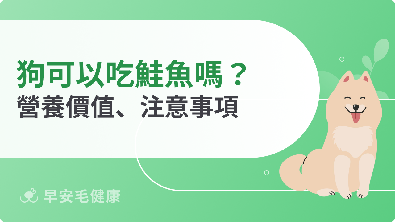 狗可以吃鮭魚嗎?一起認識讓狗狗安心吃鮭魚的黃金守則