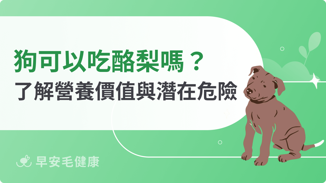 狗可以吃酪梨嗎?一次了解營養價值與潛在危險