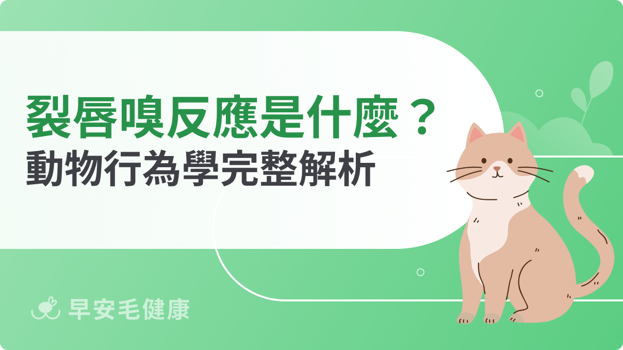 裂唇嗅反應代表什麼？動物行為學完整解析