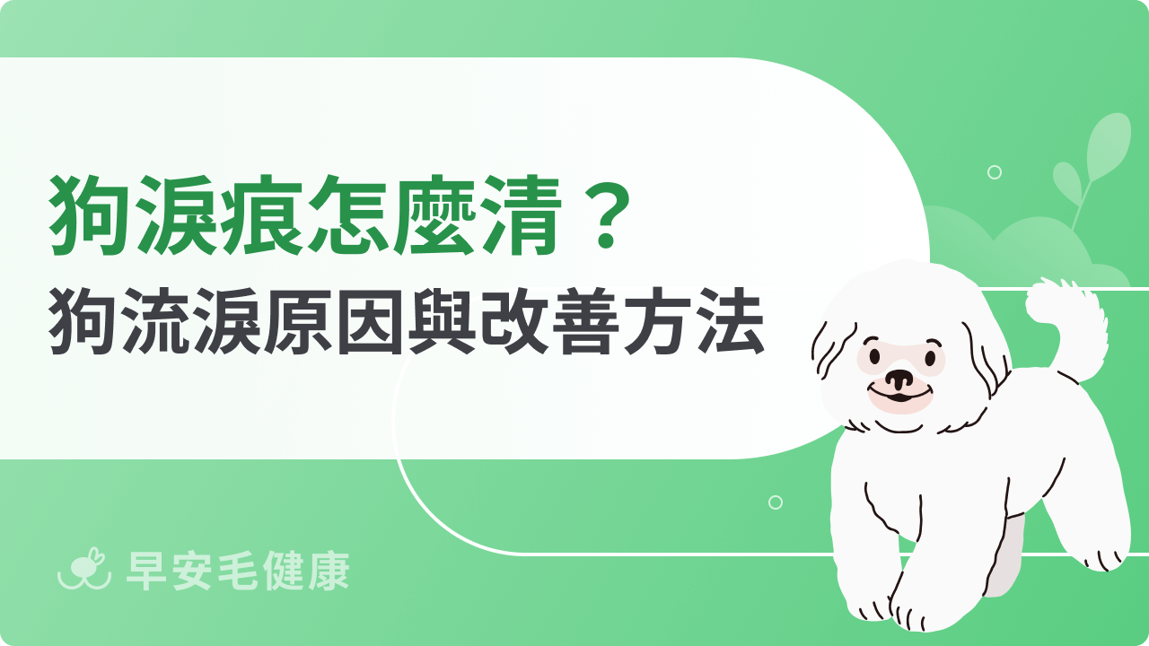 狗淚痕怎麼清?從原因到改善方法,帶你一起解決狗狗的「哭哭臉」