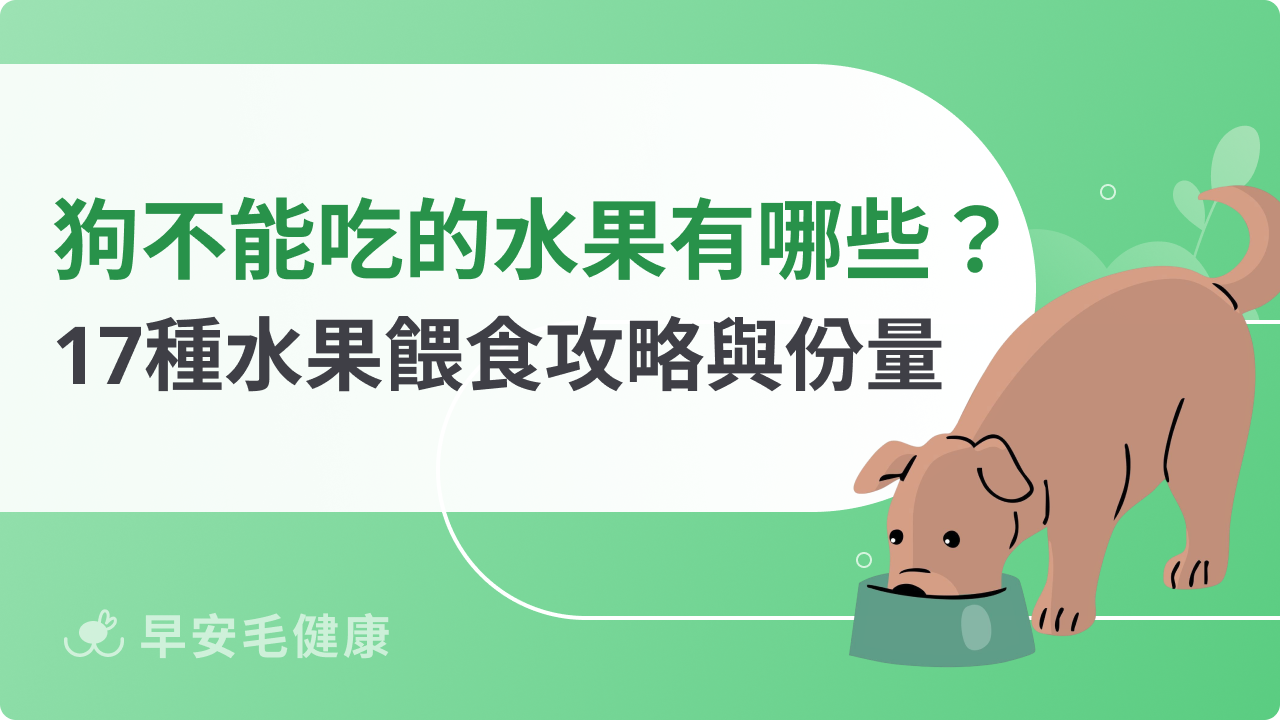 狗狗不能吃的水果別亂餵!17種水果的餵食攻略與禁忌