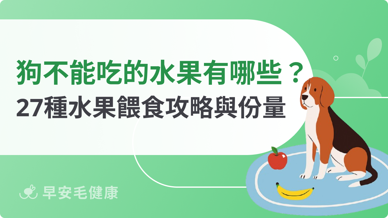 狗狗不能吃的水果有哪些?27種安心與禁忌水果完整清單