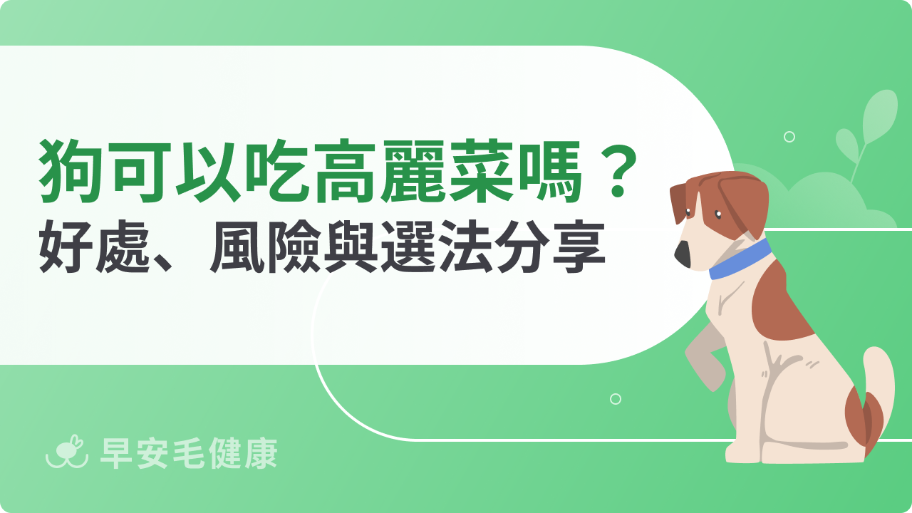 狗狗可以吃高麗菜嗎?挑對蔬菜狗狗也可以是蔬食愛好者!