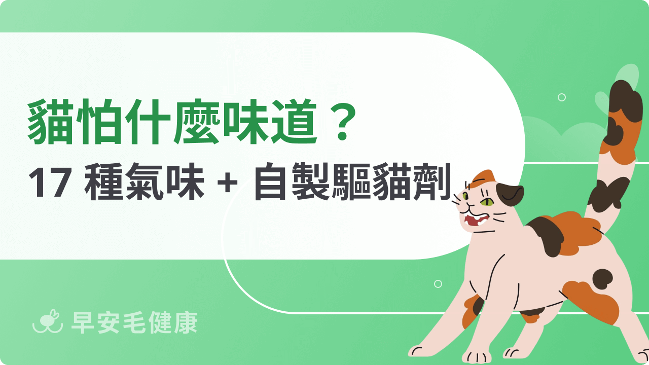 貓怕什麼味道?17種氣味完整解析,附自製驅貓劑教學!