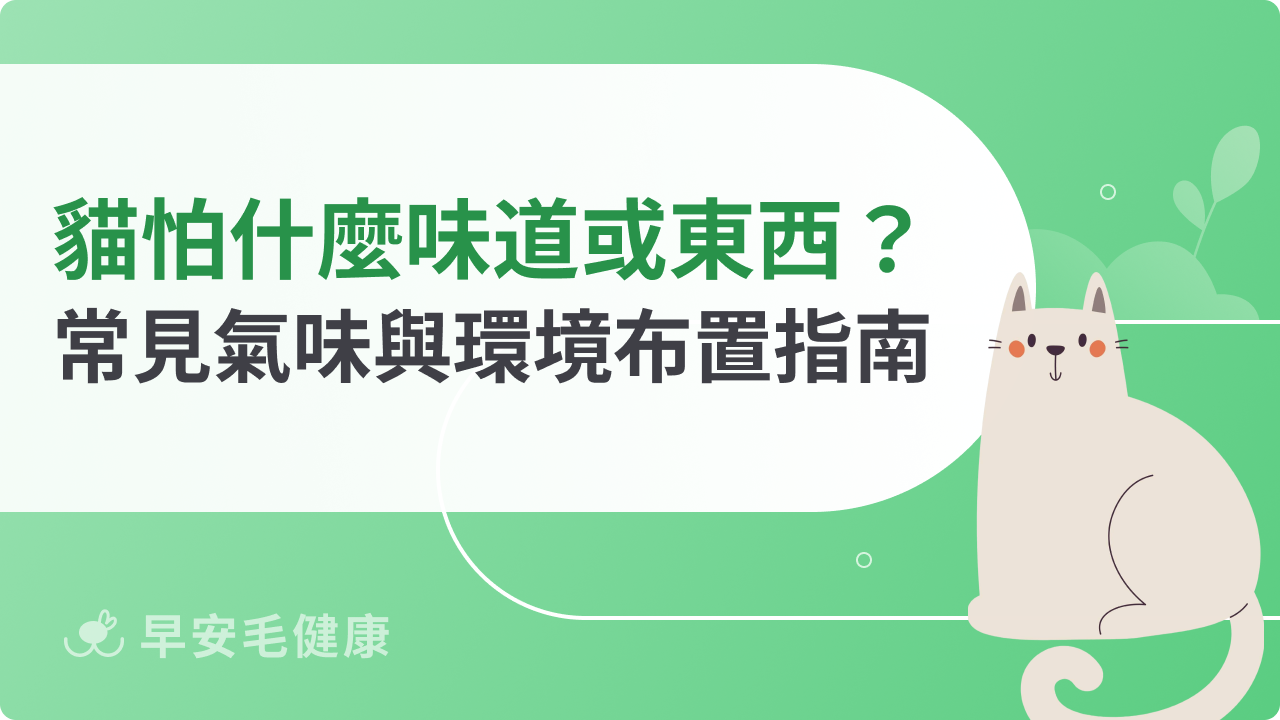 貓怕什麼味道或東西?飼主必知居家常見氣味與環境布置指南