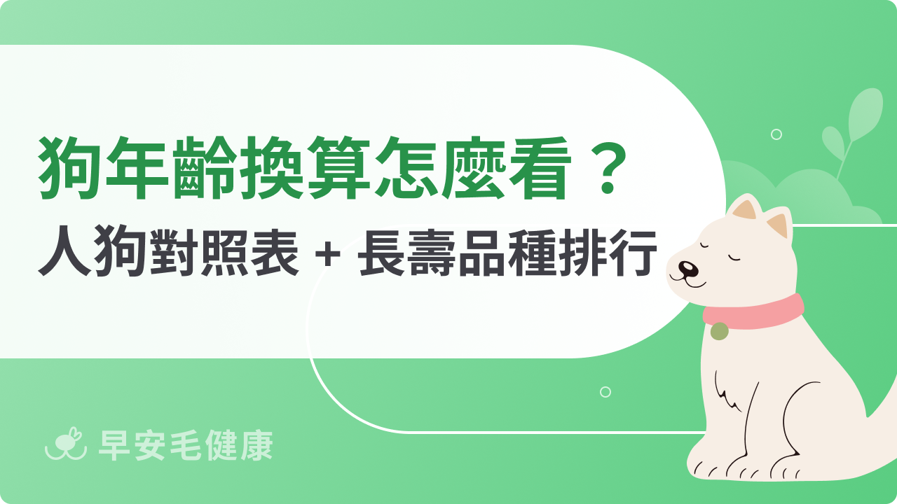 狗年齡換算怎麼看?人狗年齡對照表、TOP10 長壽品種排行!