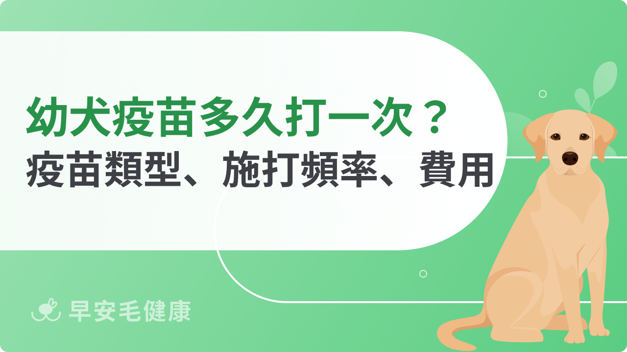 幼犬疫苗多久打一次?狗狗疫苗類型、施打頻率、費用分享