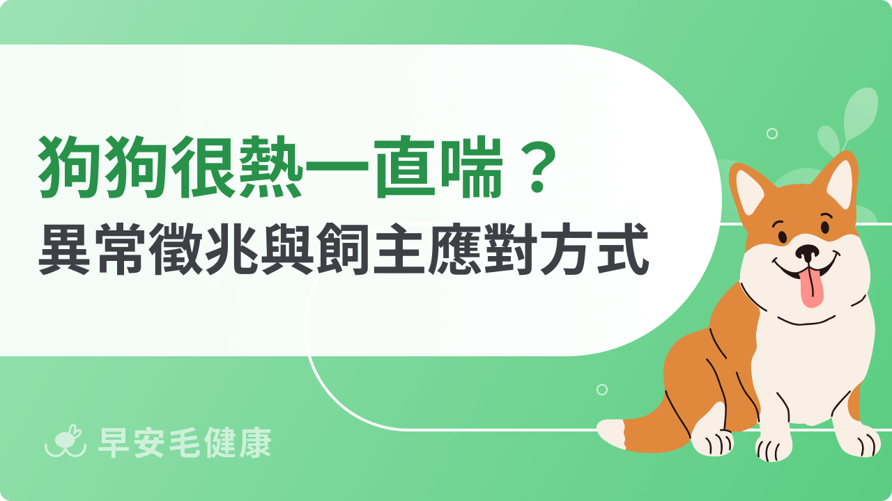 狗狗很熱一直喘是中暑嗎?要如何幫助舒緩?飼主必看應對方式!
