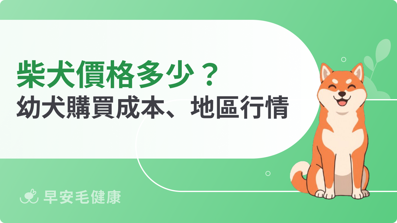 柴犬價格多少?幼犬購買成本、地區行情完整解析