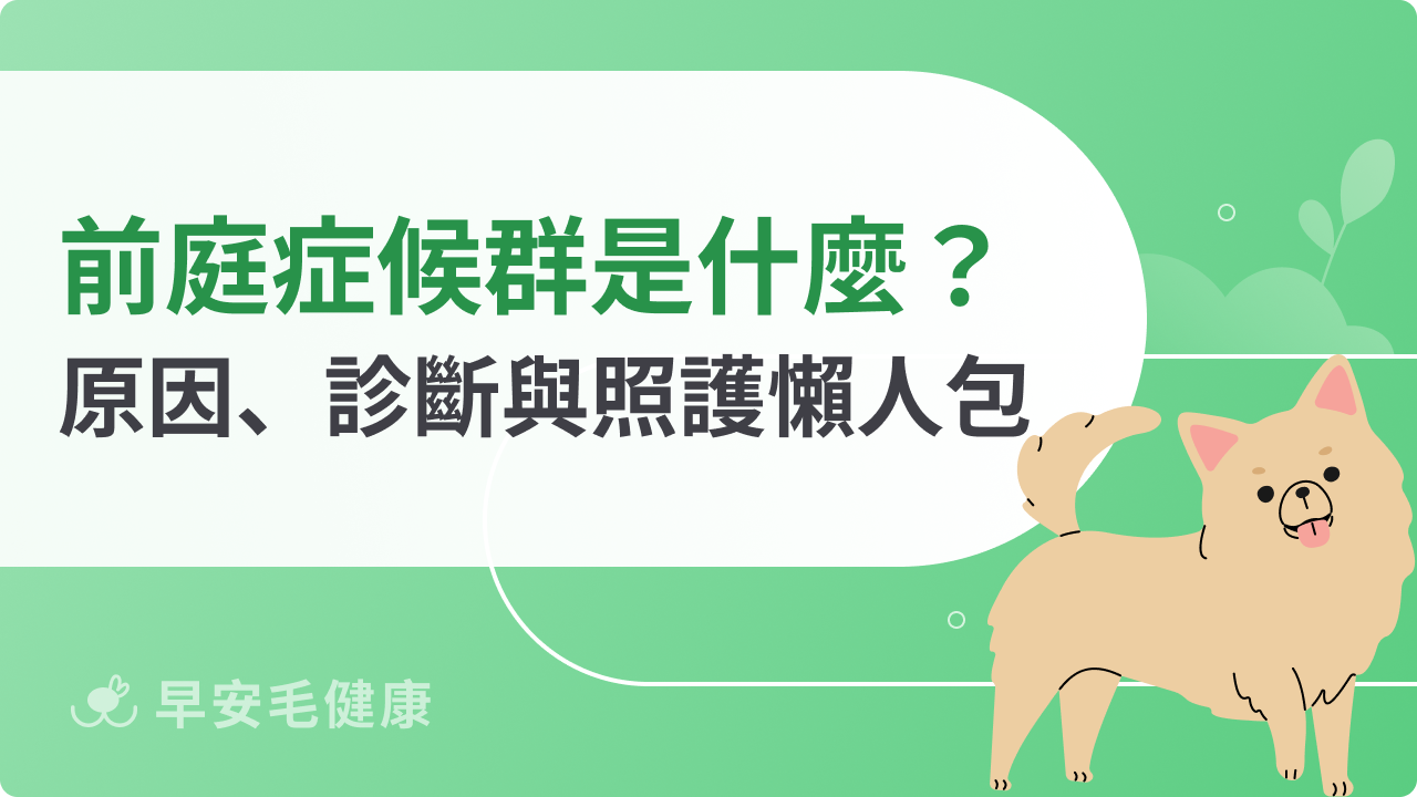 狗狗前庭症候群會好嗎?狗歪頭走路不穩的治療黃金期與照護指南!