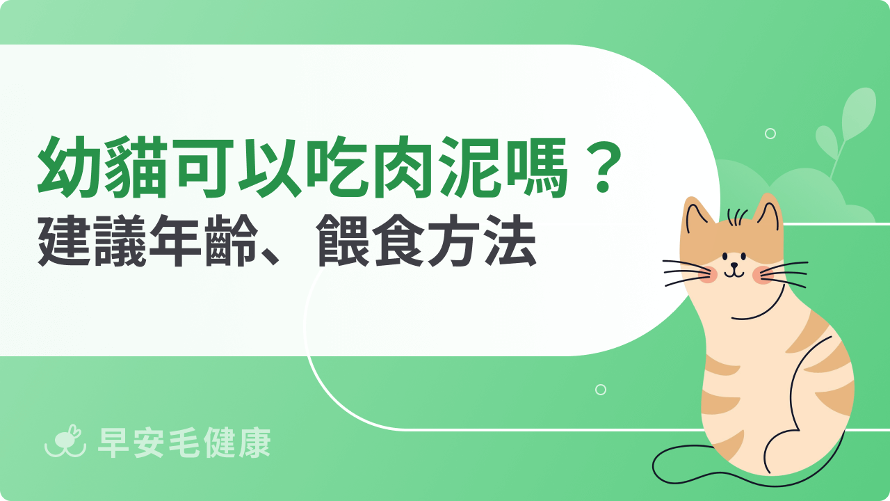 幼貓可以吃肉泥嗎?建議年齡、營養價值與安全餵食方法