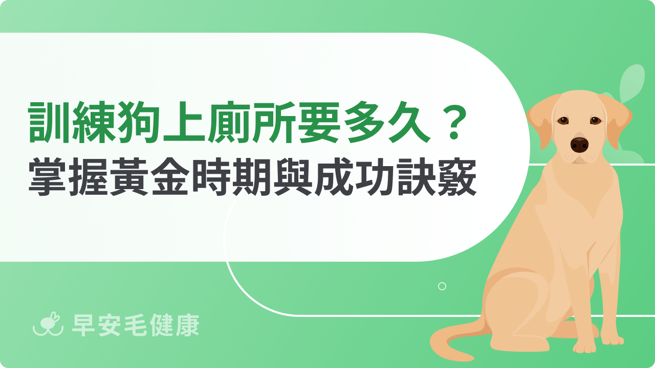 訓練狗狗上廁所要多久?關鍵時期與成功訣竅一次看懂