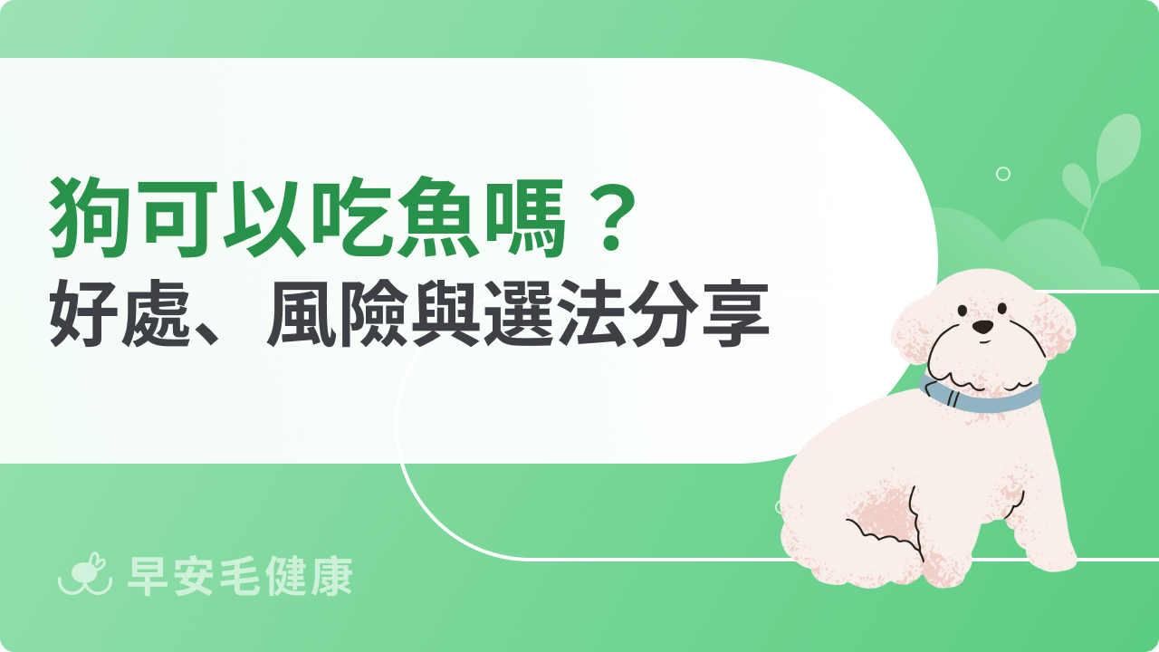 狗可以吃魚嗎?營養好處與注意事項總整理