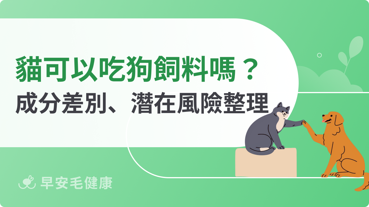 貓可以吃狗飼料嗎?成分差別、潛在風險一次看