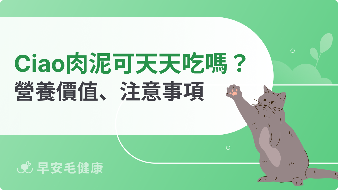 Ciao肉泥可以天天吃嗎?避免過量是重點!正確餵食觀念分享
