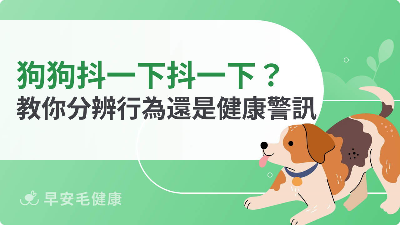 狗狗抖一下抖一下正常嗎?分辨行為還是健康警訊