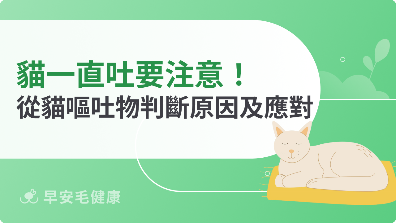 貓一直吐要注意!教你從貓嘔吐物判斷原因及應對方法