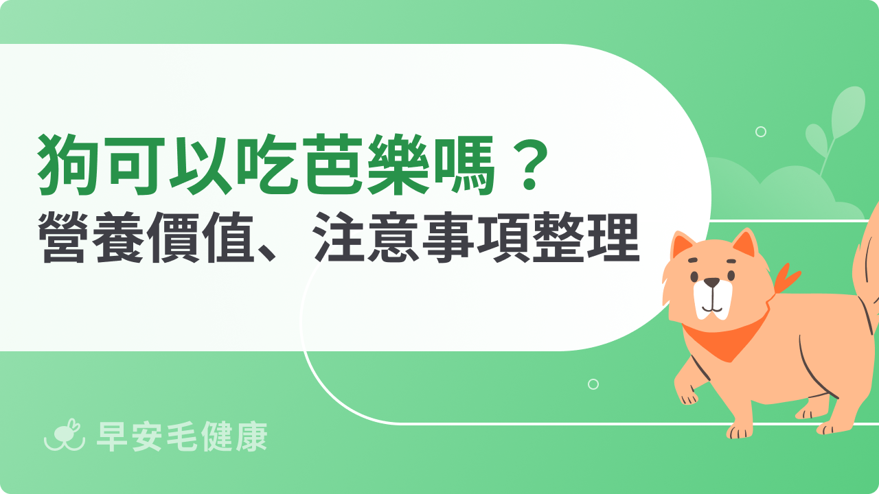 狗可以吃芭樂嗎?餵食狗狗吃芭樂前,你應該要知道的餵食守則