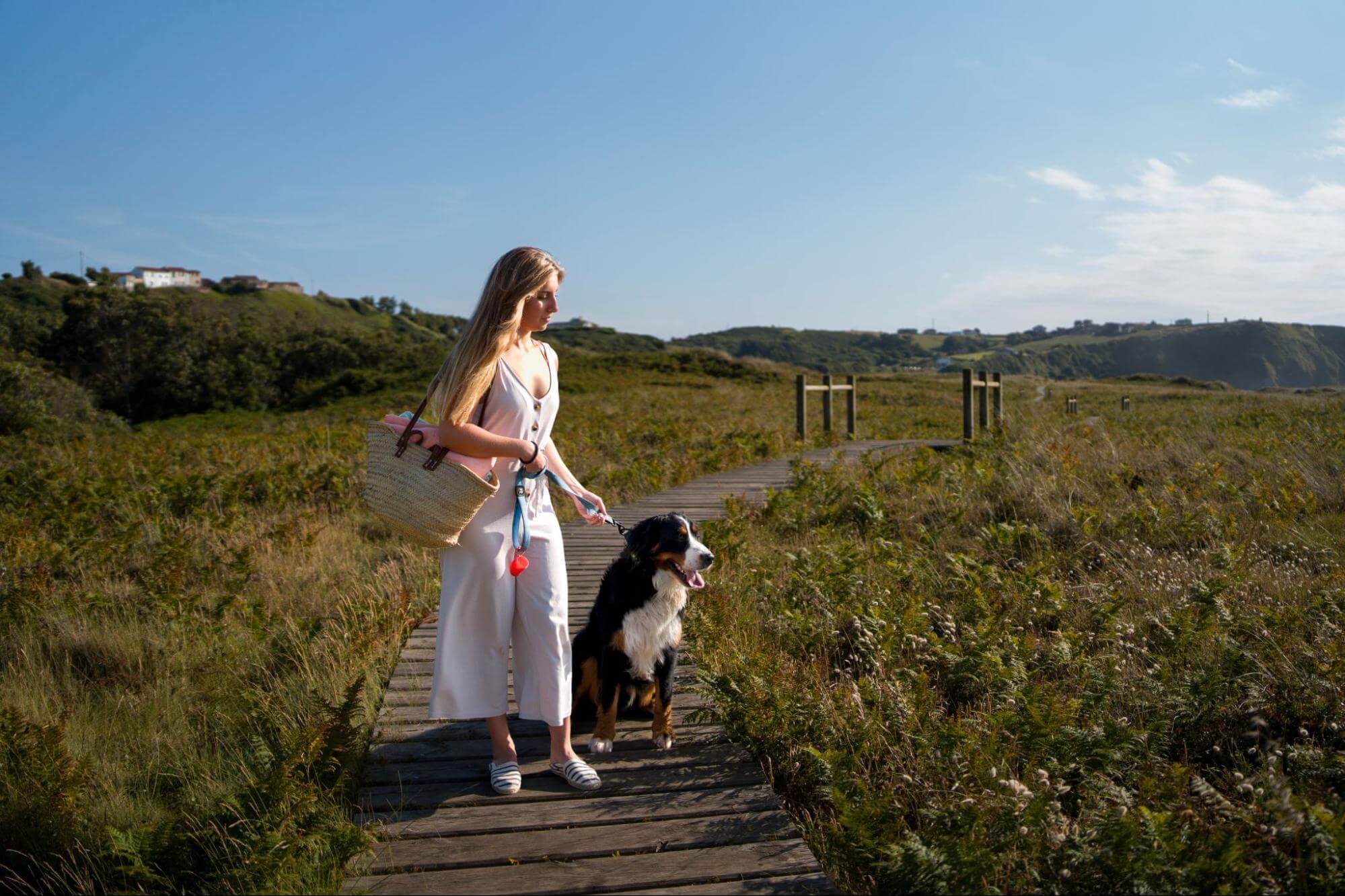 108. AI - taking-a-dog-abroad-1