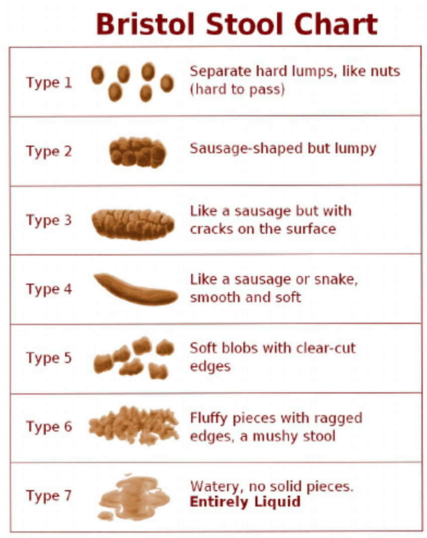 2.all-about-dog-poop-2