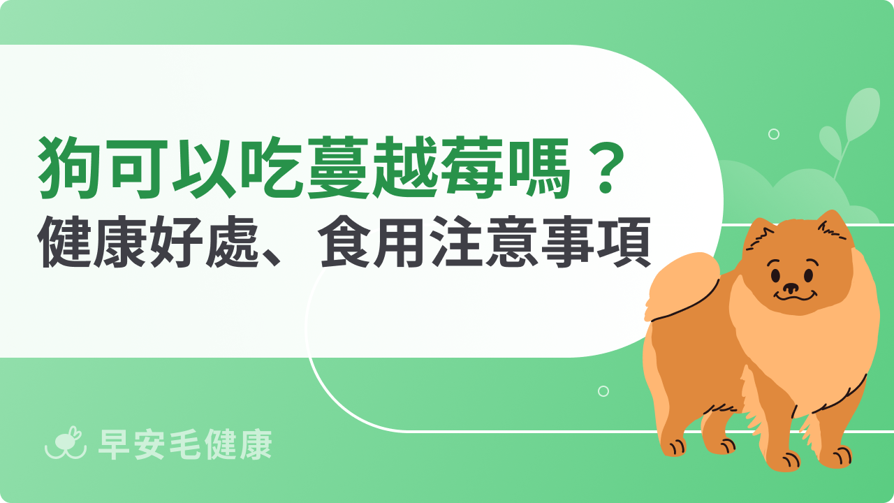 狗可以吃蔓越莓嗎?健康好處、餵食隱憂、食用注意事項說明