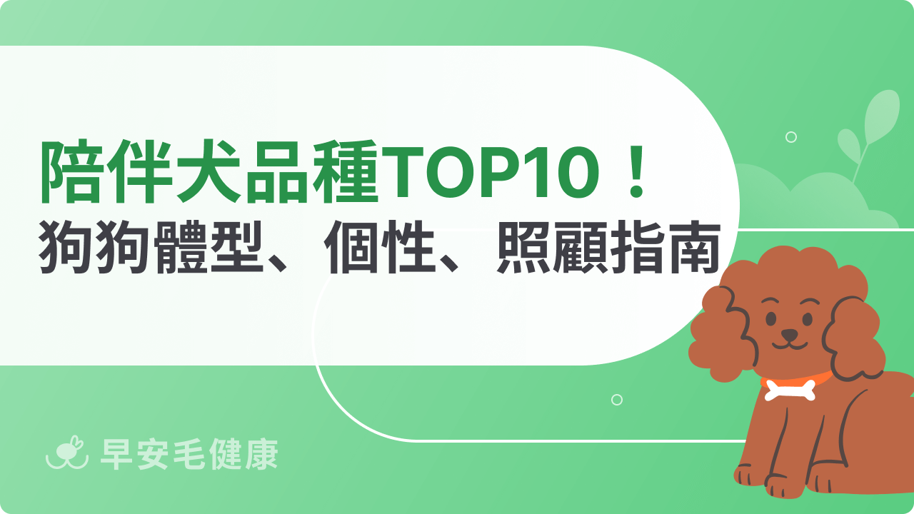 陪伴犬品種推薦TOP10!小型×中大型狗狗體型、個性、照顧指南