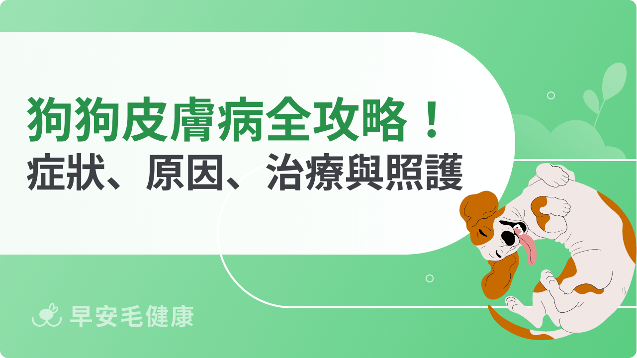 狗狗皮膚病全攻略!症狀、原因、治療與日常照護