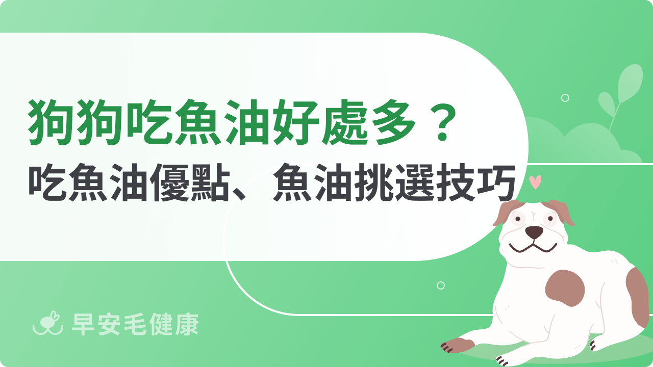 狗狗吃魚油的好處是什麼?一同了解狗狗吃魚油優點、魚油挑選技巧