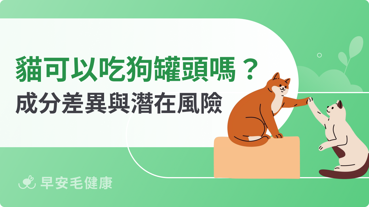貓可以吃狗罐頭嗎?成分差異與潛在風險全解析