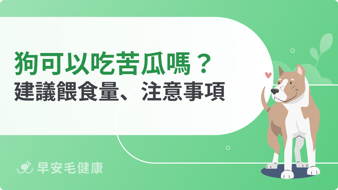 狗可以吃苦瓜嗎?好處、副作用與正確餵法分享