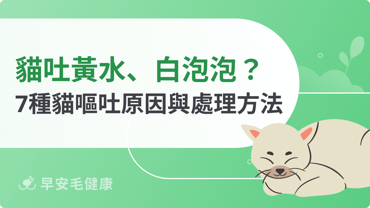 貓吐黃水、白泡泡?7種貓咪嘔吐原因與處理方法一次看