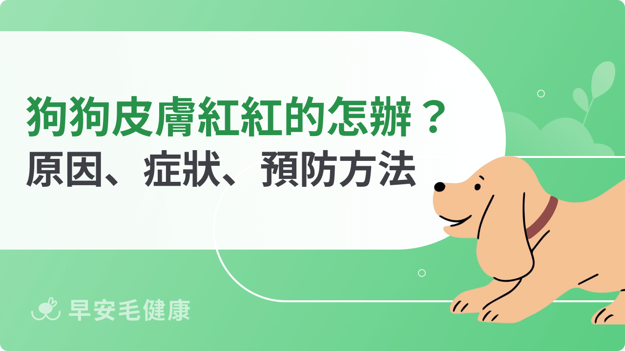狗狗皮膚紅紅的怎麼辦?原因、症狀、預防方法