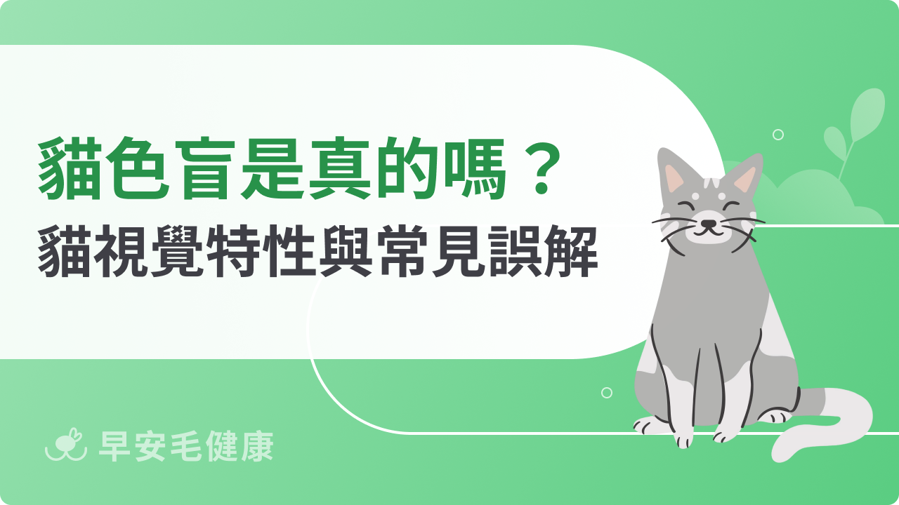貓咪是色盲嗎?一張圖看懂貓眼世界,顏色辨別、夜視力大公開!