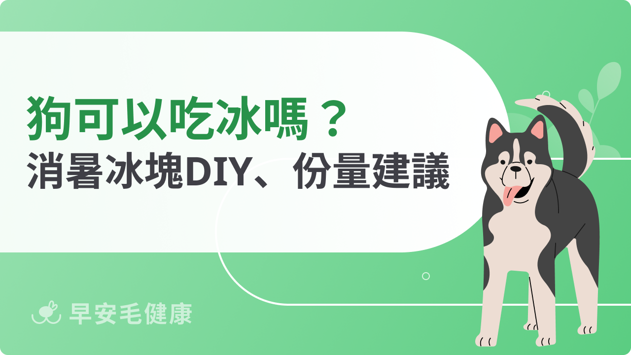 狗可以吃冰嗎?狗狗消暑最佳方法與餵食建議整理