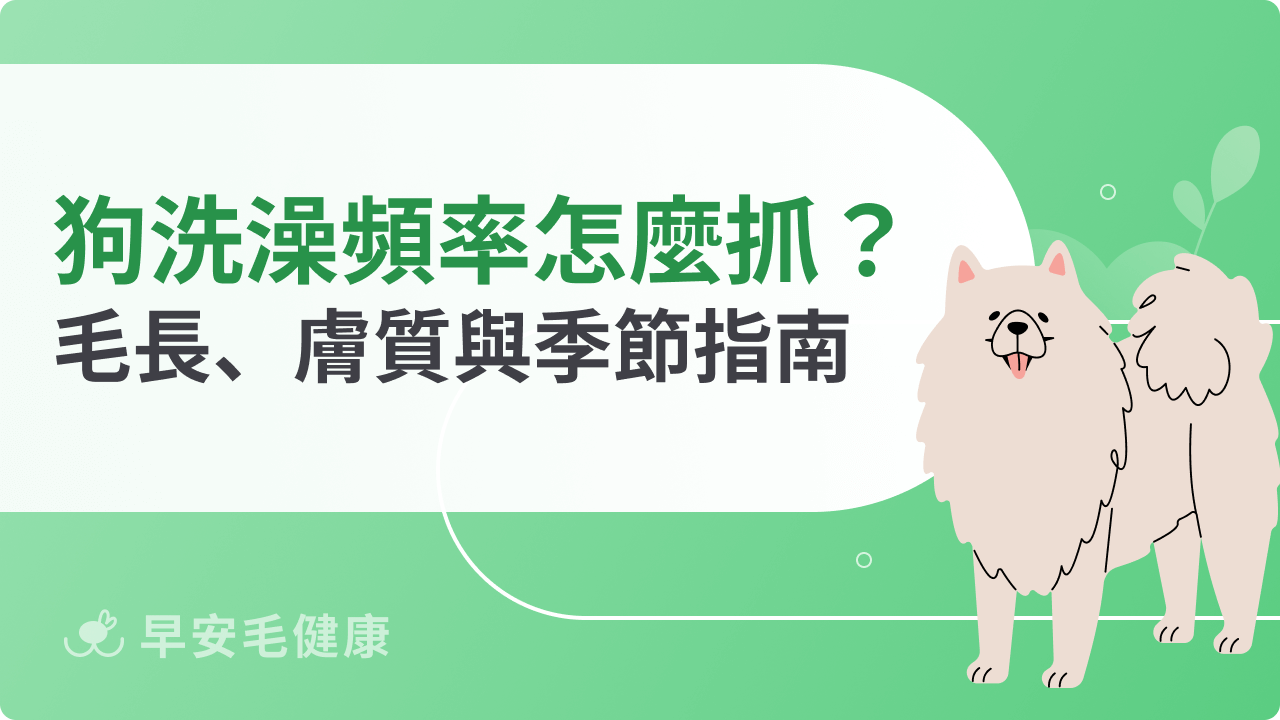 狗狗洗澡頻率多久一次?依毛長、膚質與季節正確清潔指南