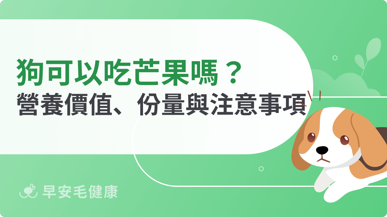 狗可以吃芒果嗎?營養價值、餵食份量與注意事項一次看!