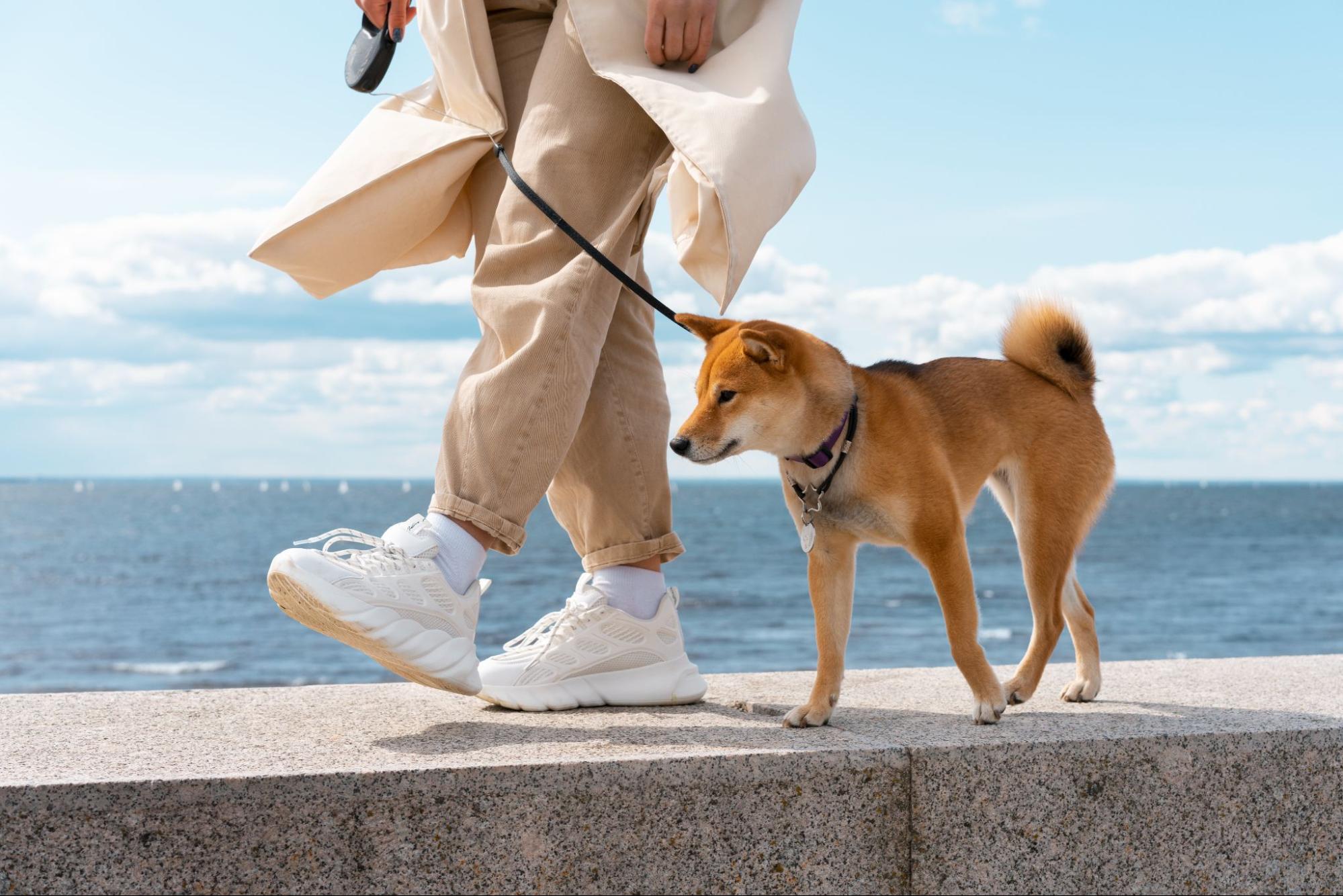 61. AI - how-much-does-it-cost-to-raise-a-dog-1