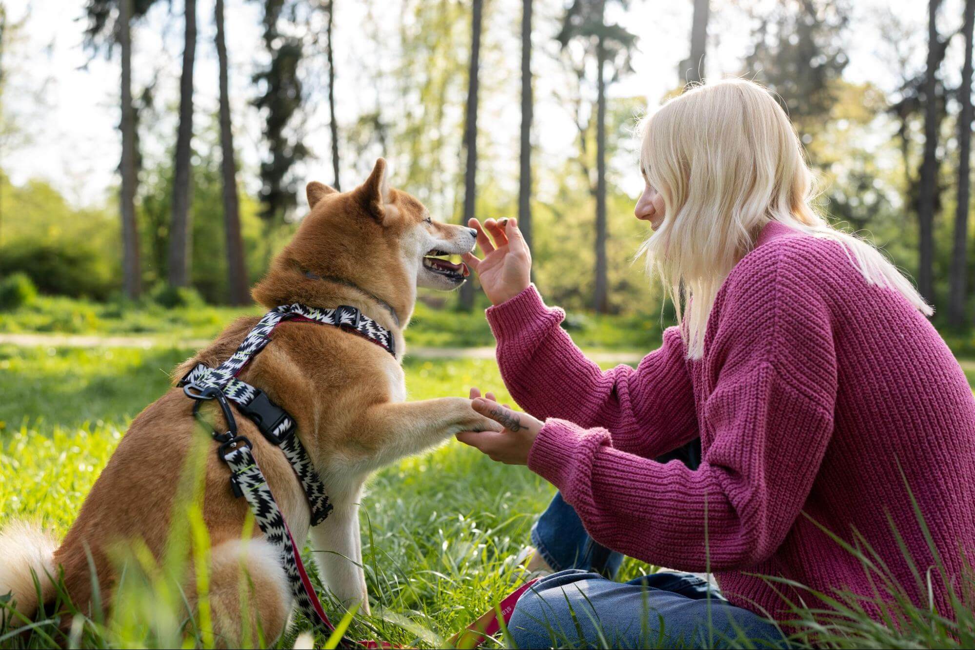 67. AI - companion-dog-breeds-1