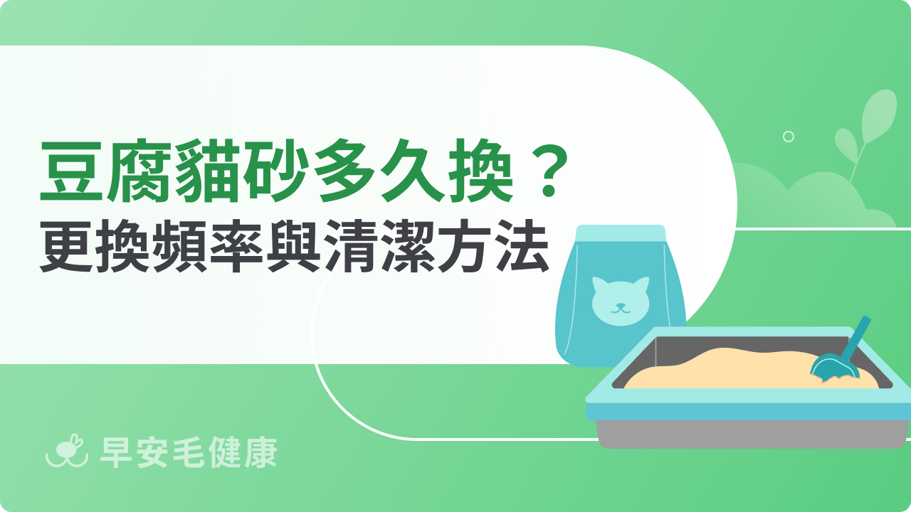 豆腐貓砂多久換一次?正確更換頻率與清潔方法懶人包